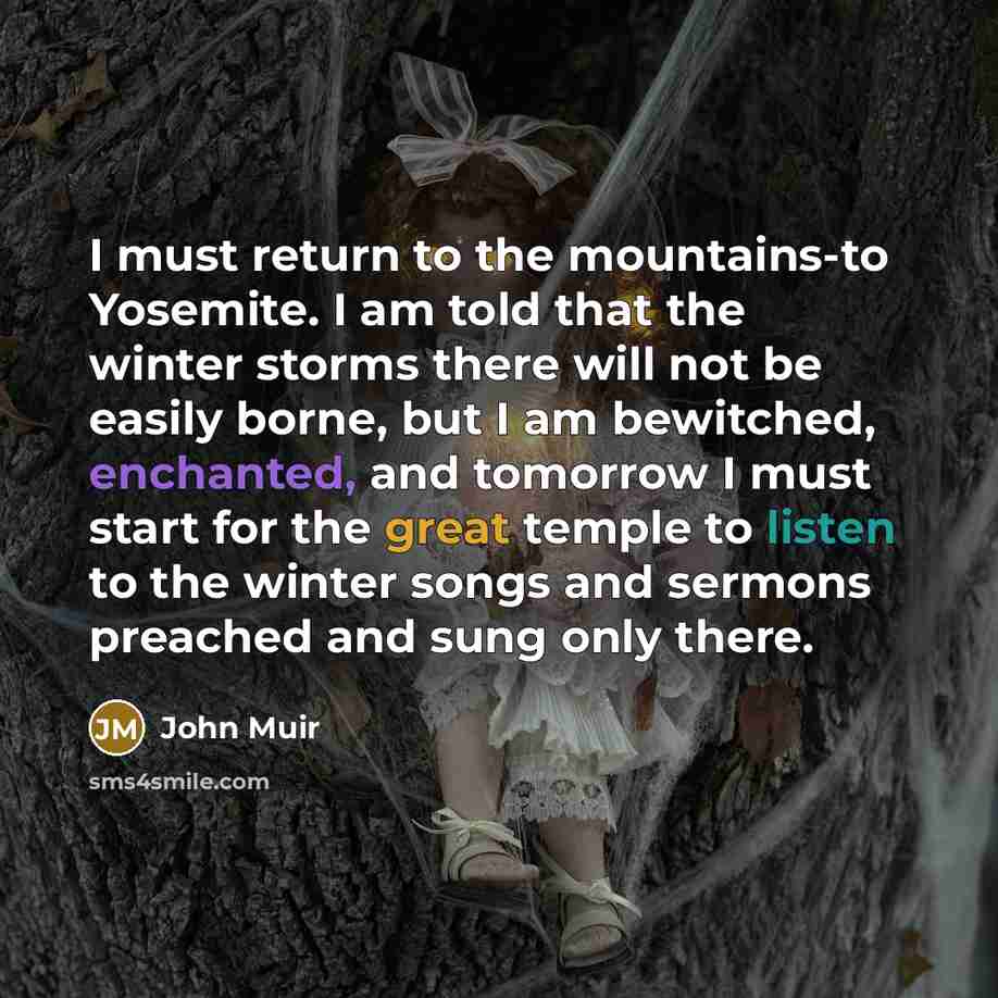 “I must return to the mountains-to Yosemite. I am told…” quote by John Muir