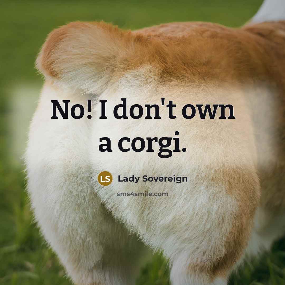 “No! I don't own a corgi.” quote by Lady Sovereign