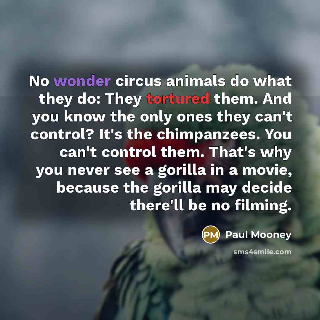 “No wonder circus animals do what they do: They tortured…” quote by Paul Mooney