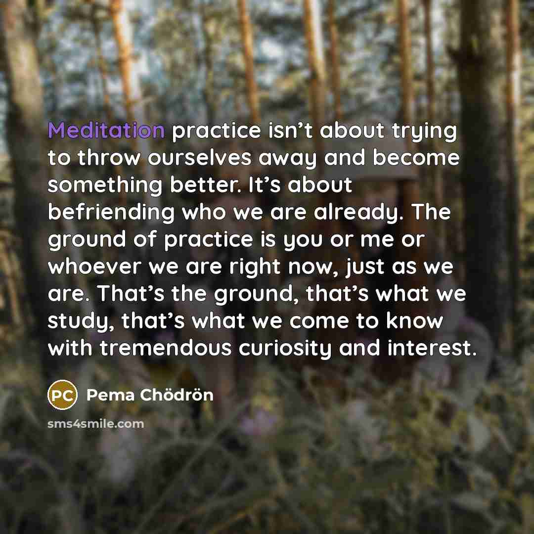 “Meditation practice isn’t about trying to throw ourselves away and…” quote by Pema Chodron