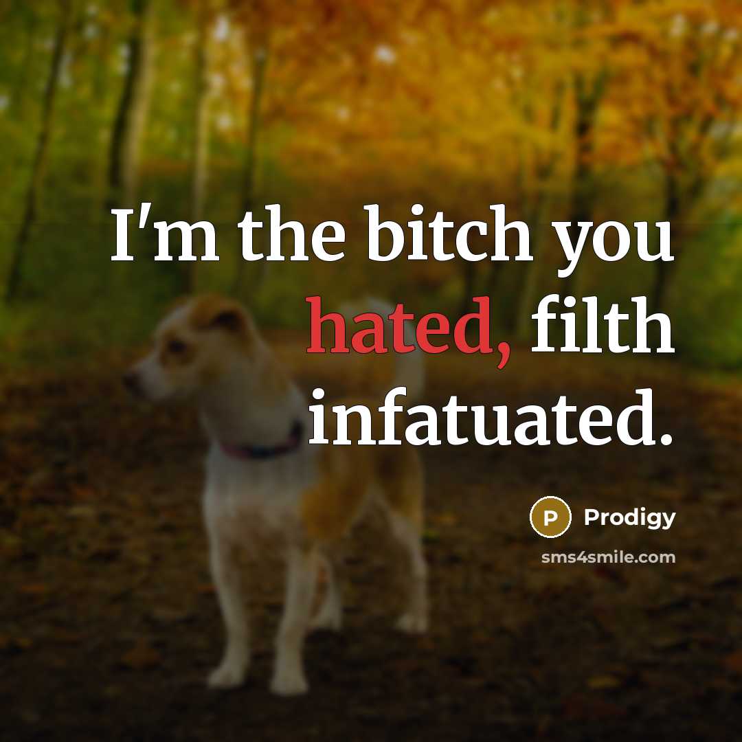 “I'm the bitch you hated, filth infatuated.…” quote by Prodigy