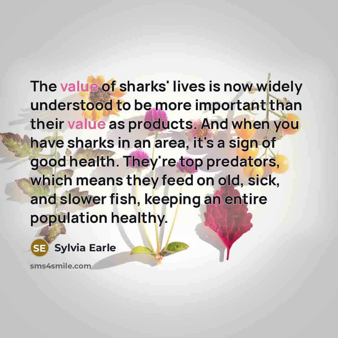 “The value of sharks' lives is now widely understood to…” quote by Sylvia Earle