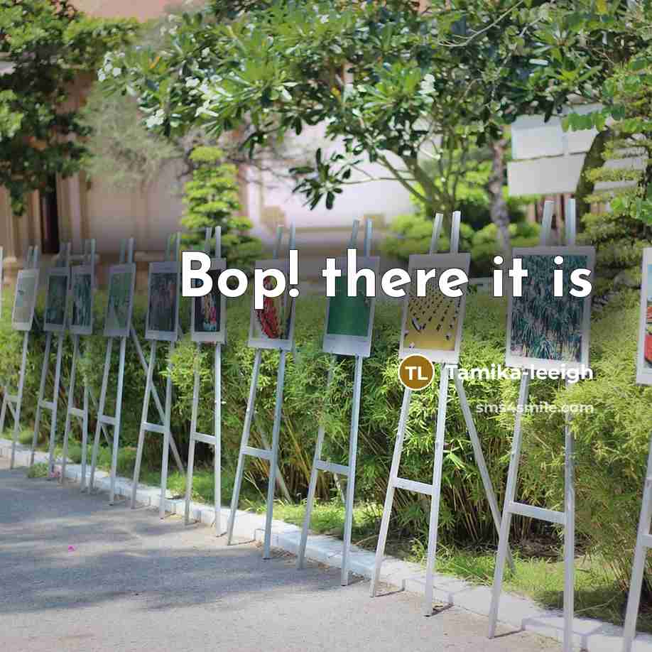 “Bop! there it is” quote by Tamika-leeigh