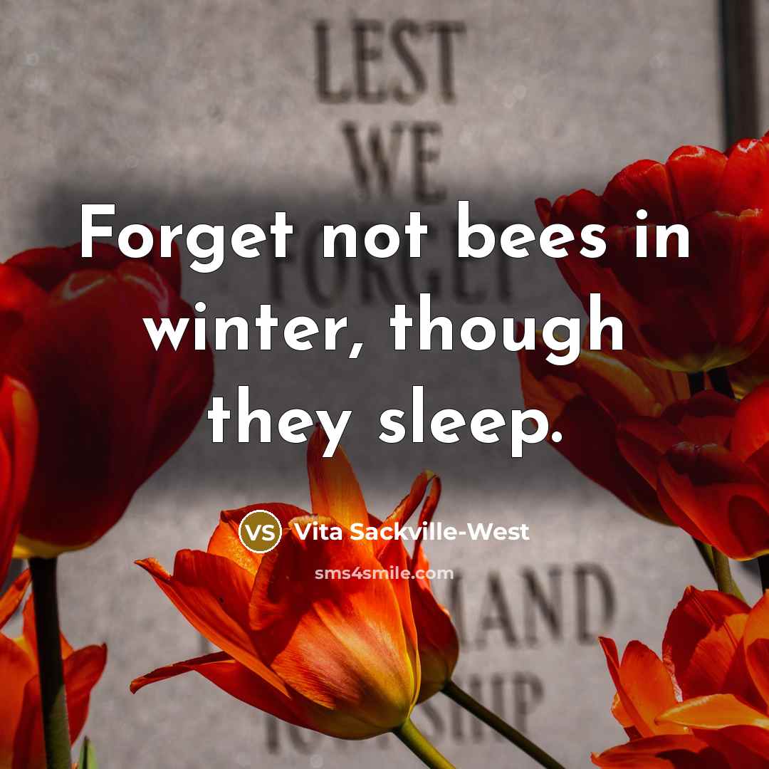 “Forget not bees in winter, though they sleep.…” quote by Vita Sackville-West