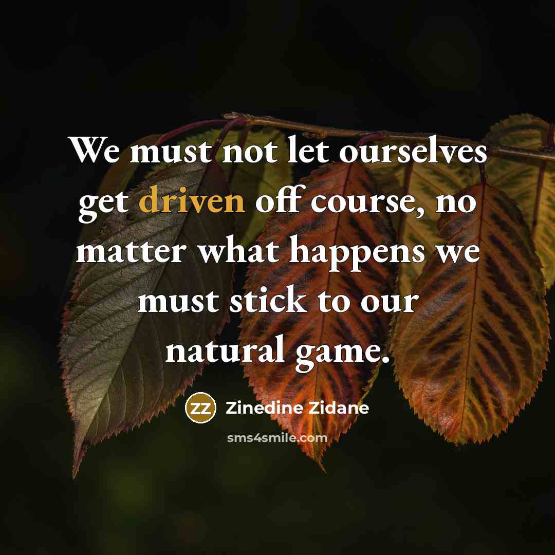 “We must not let ourselves get driven off course, no…” quote by Zinedine Zidane