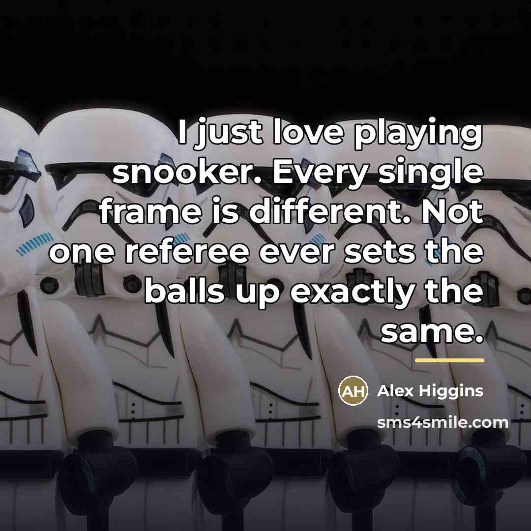 “I just love playing snooker. Every single frame is different.…” quote by Alex Higgins