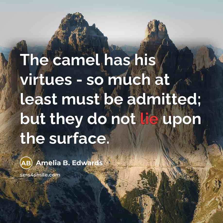 “The camel has his virtues - so much at least…” quote by Amelia B. Edwards