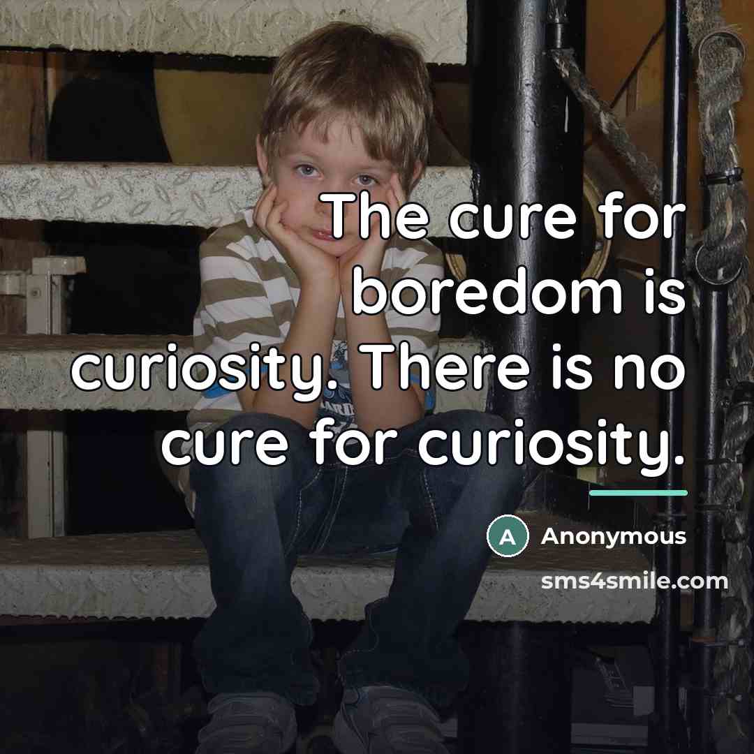 “The cure for boredom is curiosity. There is no cure…” quote by Anonymous