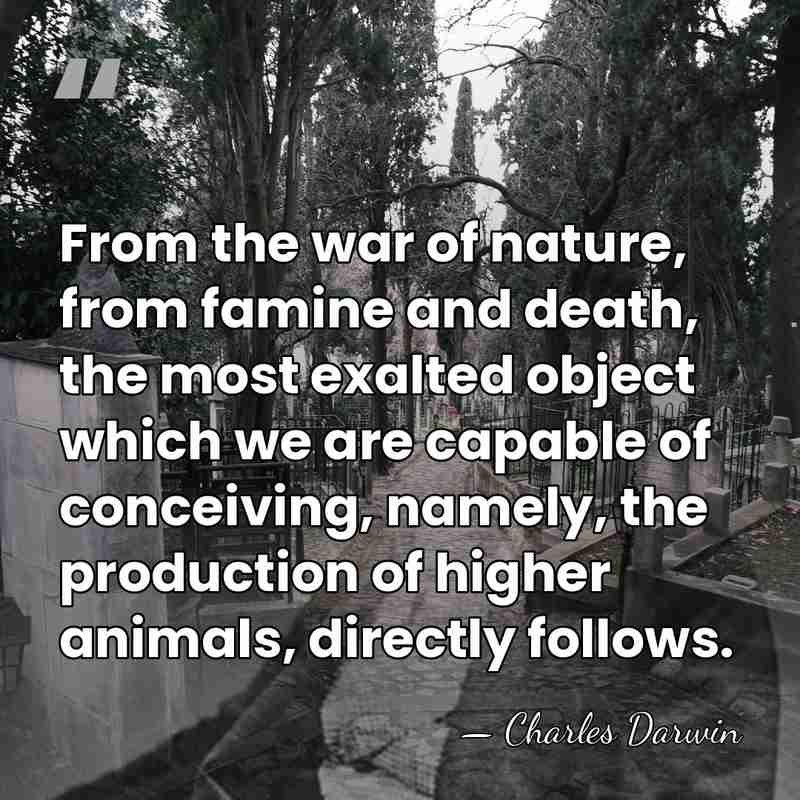 From the war of nature, from famine and death, the most exalted&hellip; - Charles Darwin