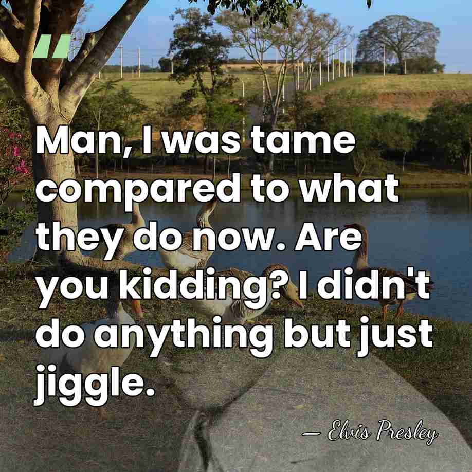 Man, I was tame compared to what they do now. Are you&hellip; - Elvis Presley