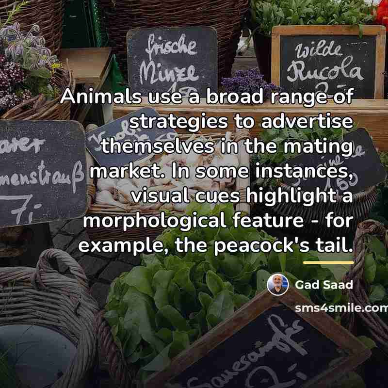 “Animals use a broad range of strategies to advertise themselves…” quote by Gad Saad