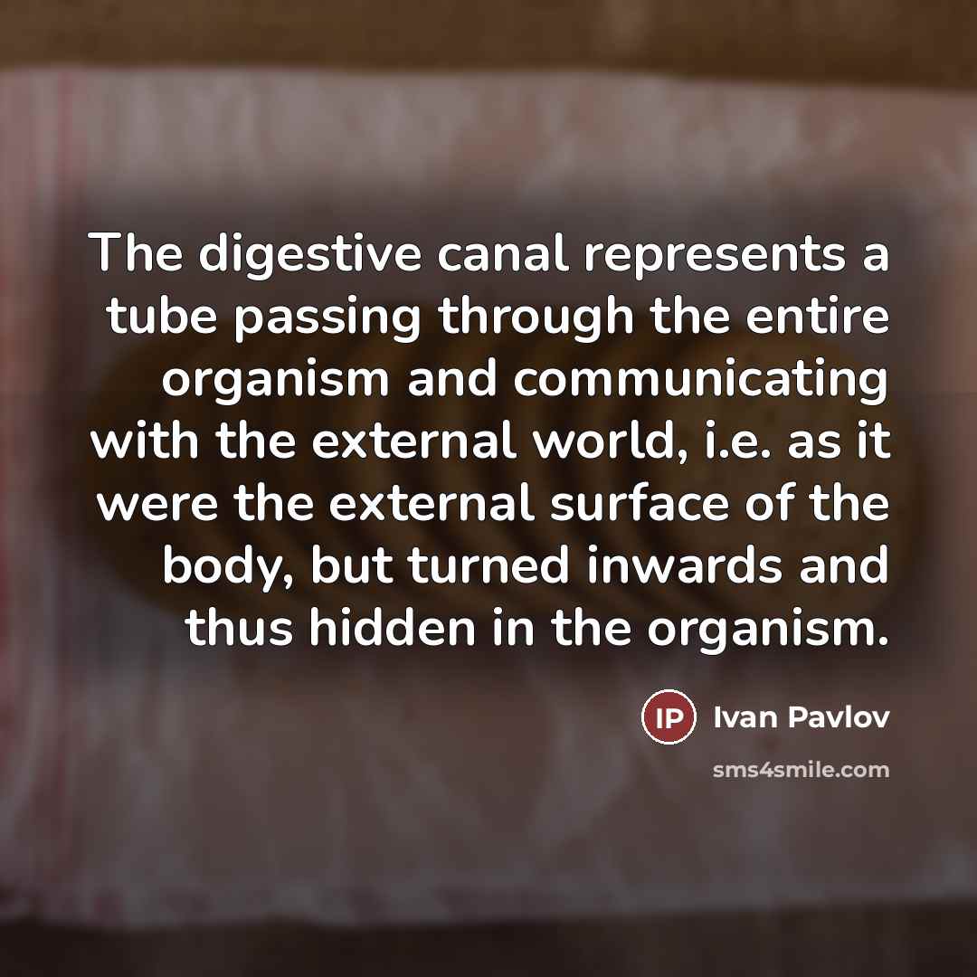 “The digestive canal represents a tube passing through the entire…” quote by Ivan Pavlov