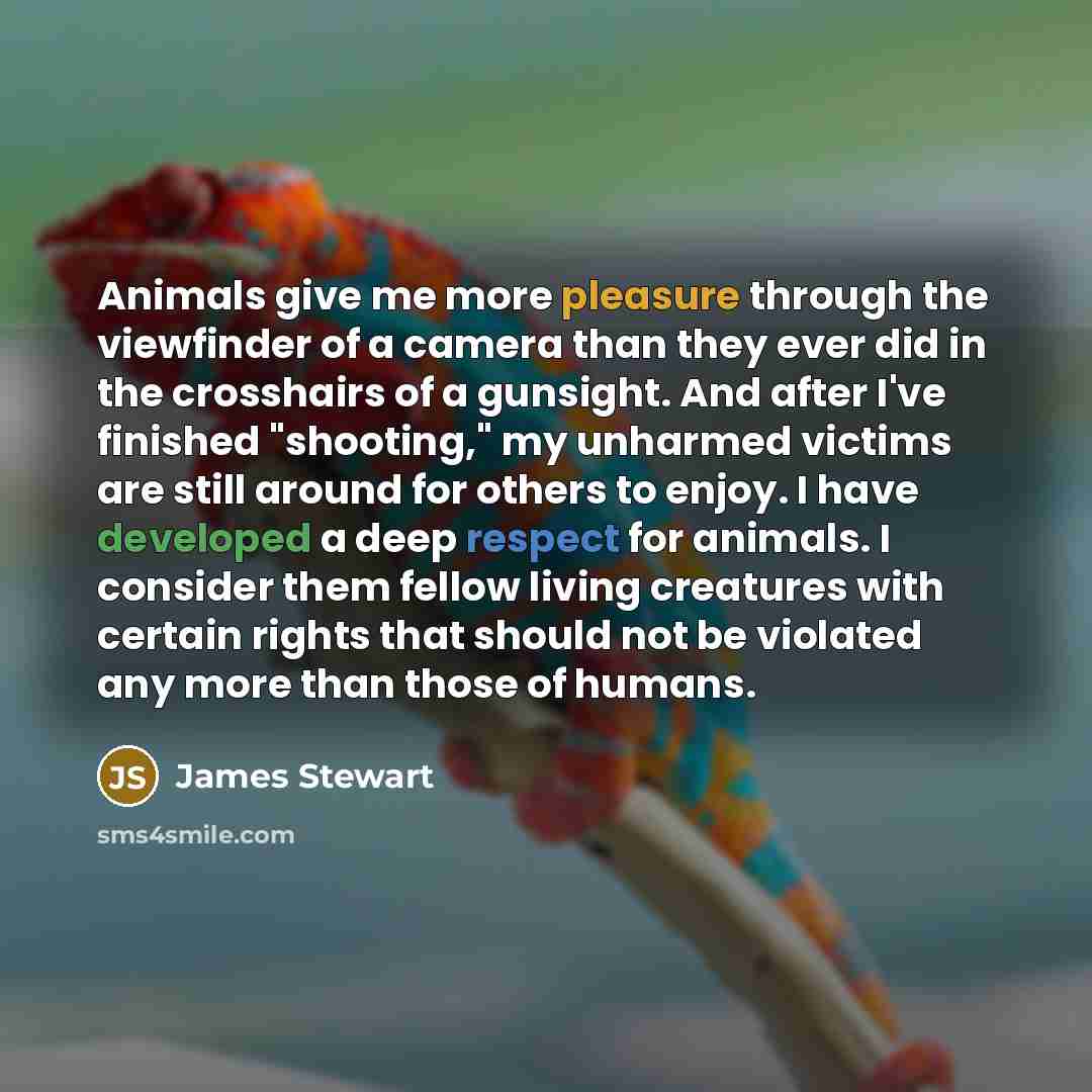 “Animals give me more pleasure through the viewfinder of a…” quote by James Stewart