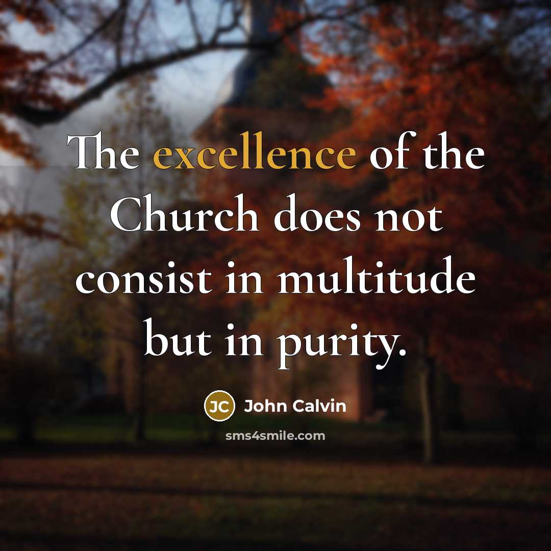 “The excellence of the Church does not consist in multitude…” quote by John Calvin