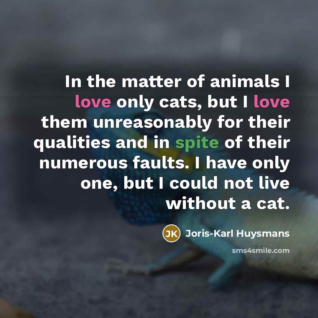 “In the matter of animals I love only cats, but…” quote by Joris-Karl Huysmans