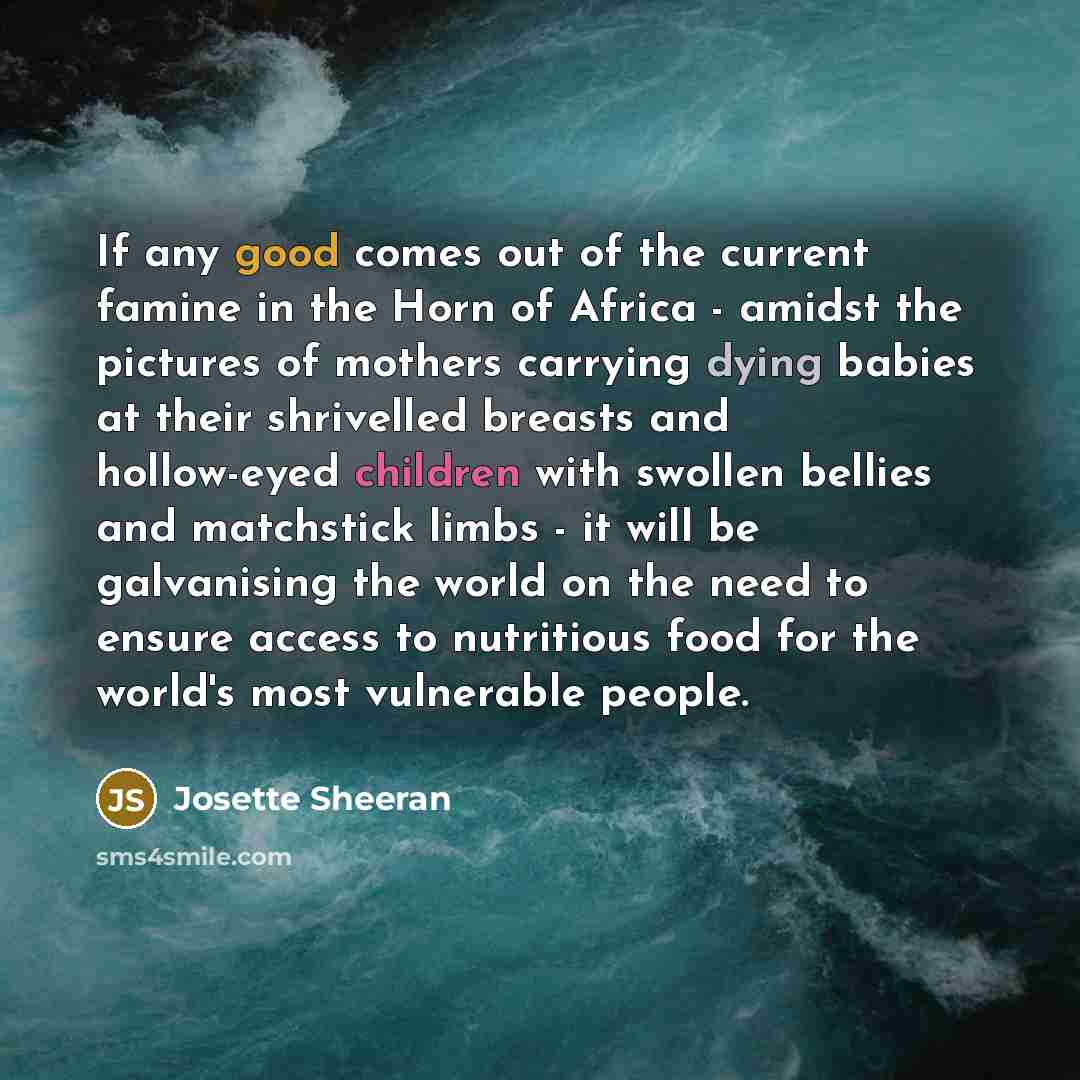 “If any good comes out of the current famine in…” quote by Josette Sheeran