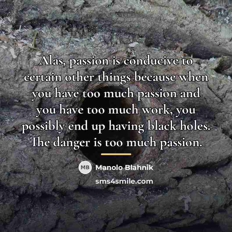 “Alas, passion is conducive to certain other things because when…” quote by Manolo Blahnik