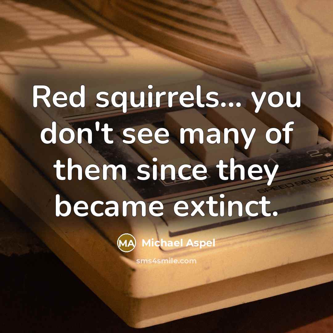 “Red squirrels... you don't see many of them since they became extinct.” quote by Michael Aspel