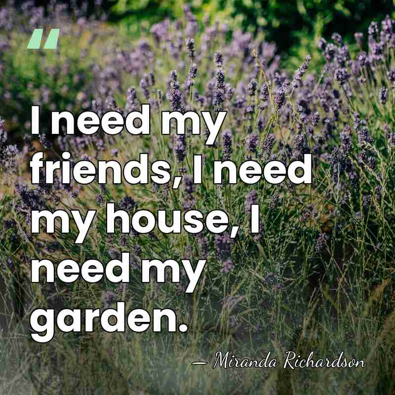 I need my friends, I need my house, I need my garden. - Miranda Richardson