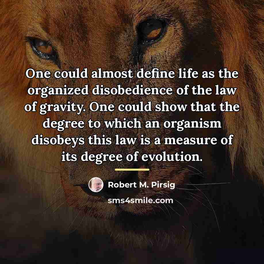 “One could almost define life as the organized disobedience of…” quote by Robert M. Pirsig
