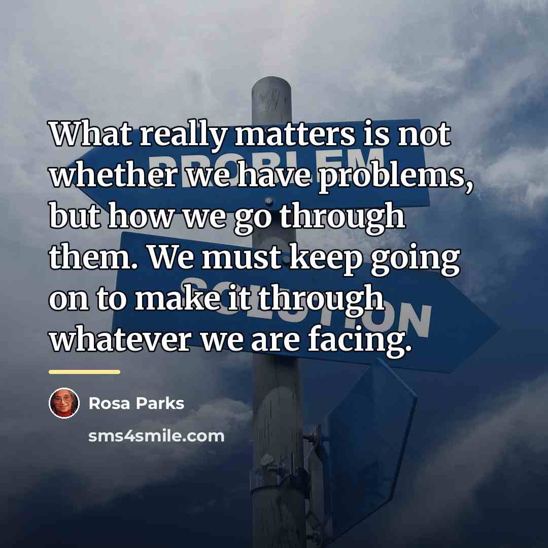 “What really matters is not whether we have problems, but…” quote by Rosa Parks