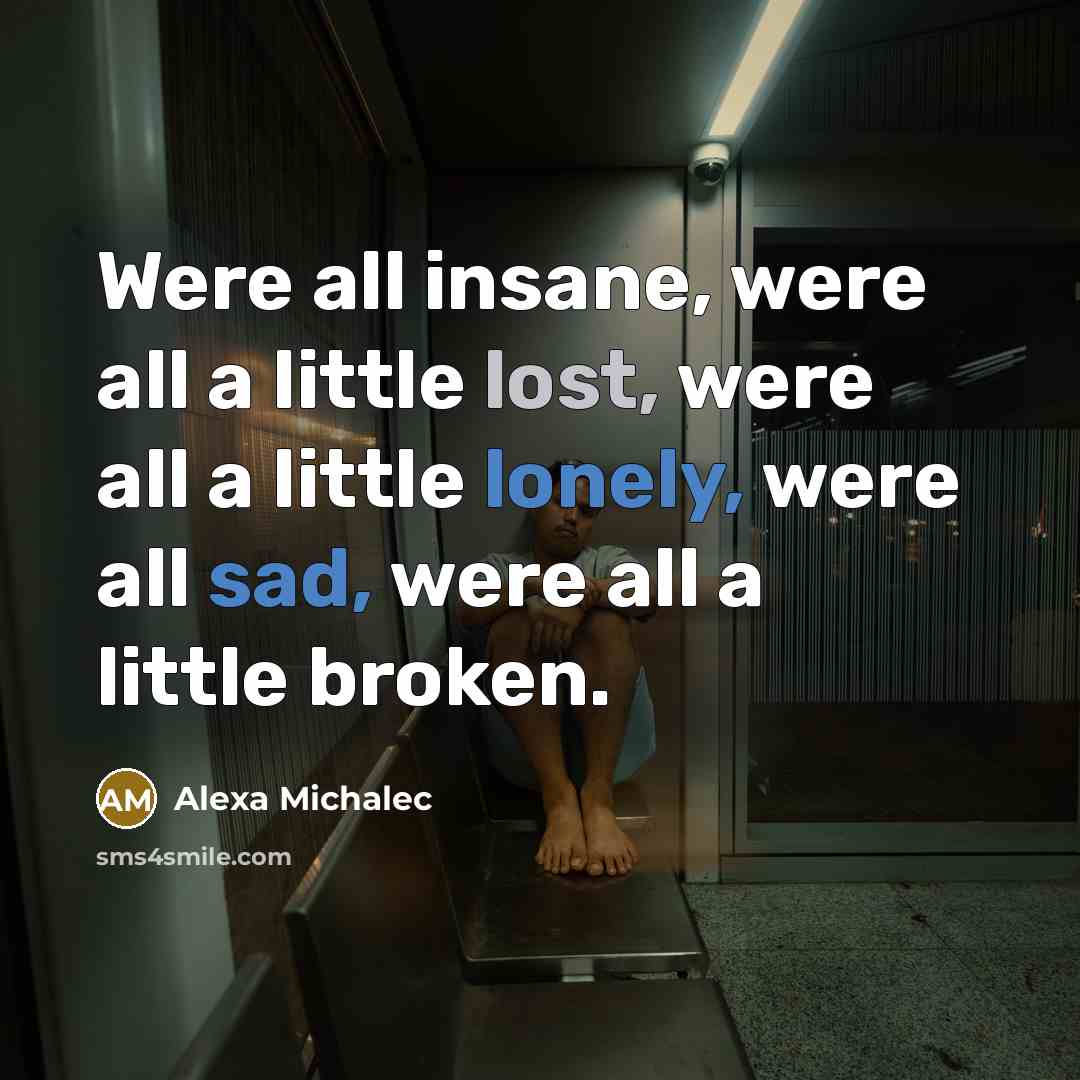 “Were all insane, were all a little lost, were all a little lonely, were all sad, were all a little broken.” quote by Alexa Michalec