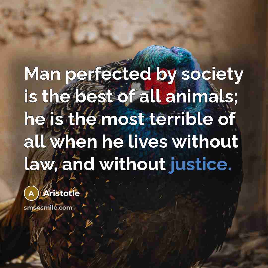 “Man perfected by society is the best of all animals;…” quote by Aristotle