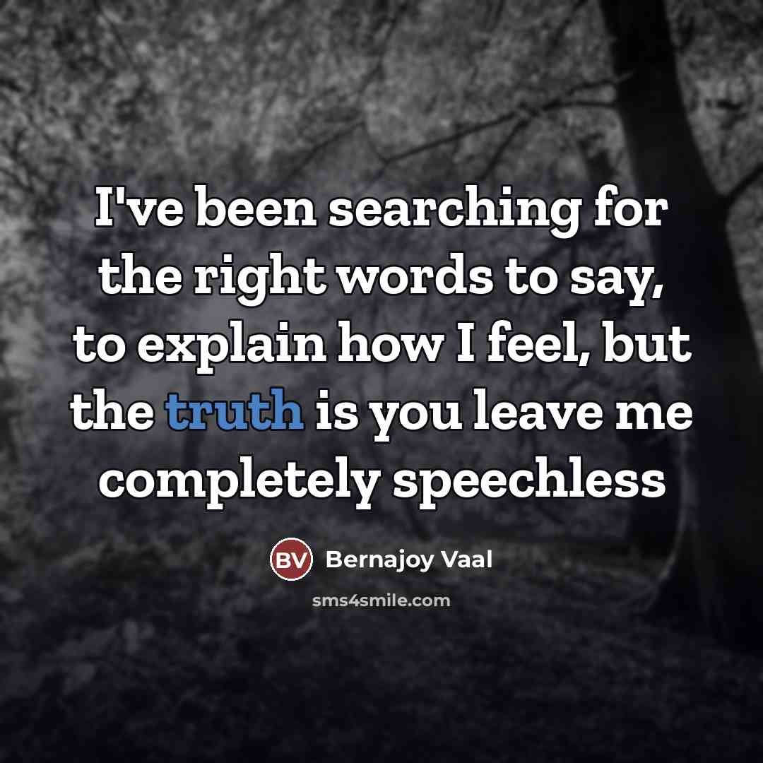 “I've been searching for the right words to say, to…” quote by Bernajoy Vaal