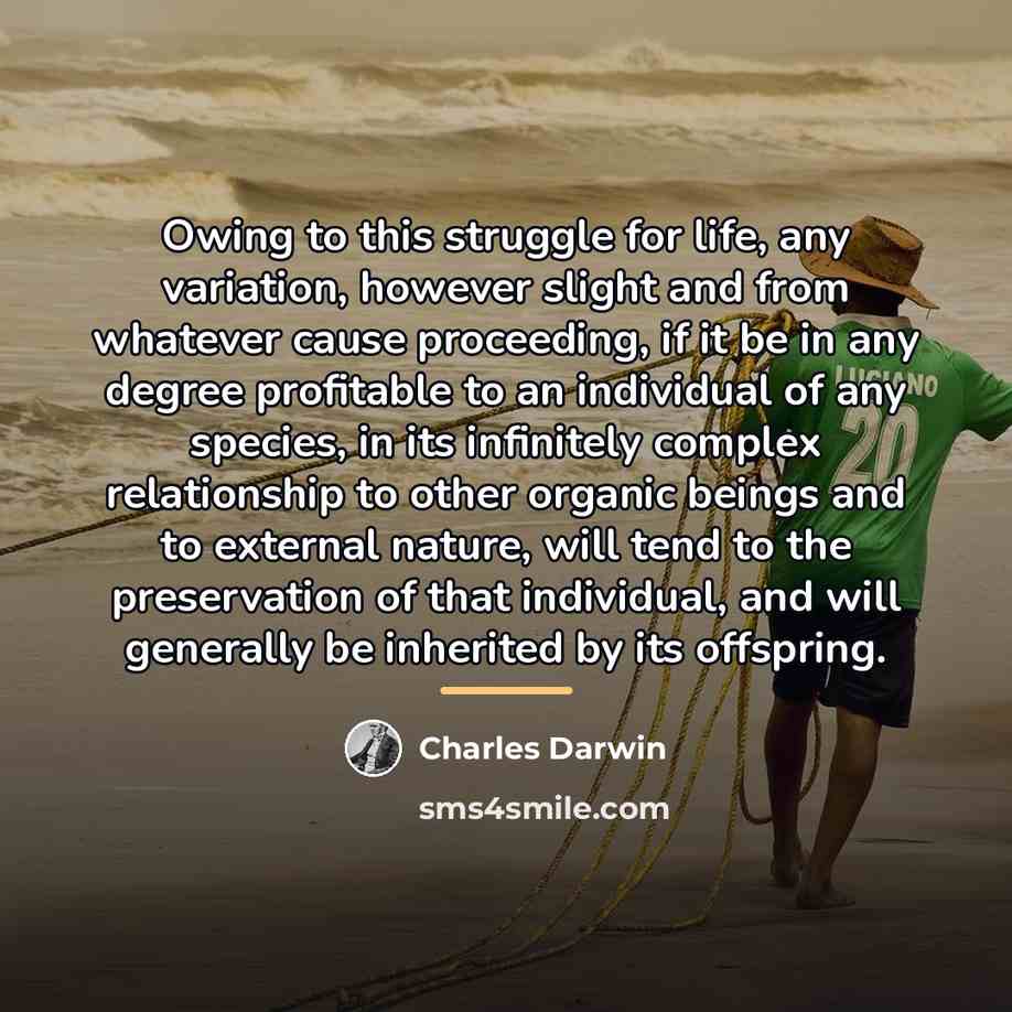 “Owing to this struggle for life, any variation, however slight…” quote by Charles Darwin