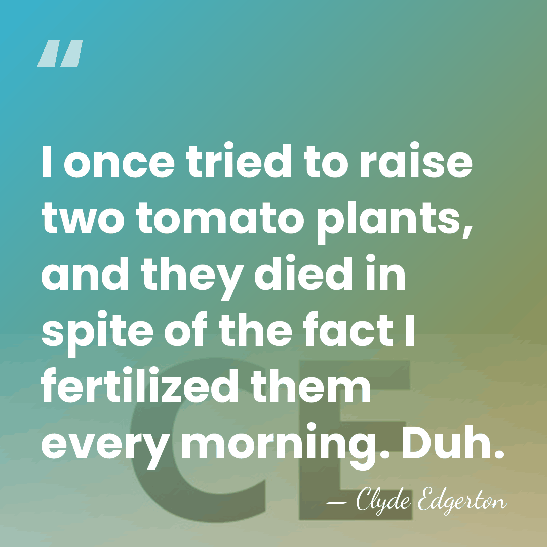 I once tried to raise two tomato plants, and they died in&hellip; - Clyde Edgerton