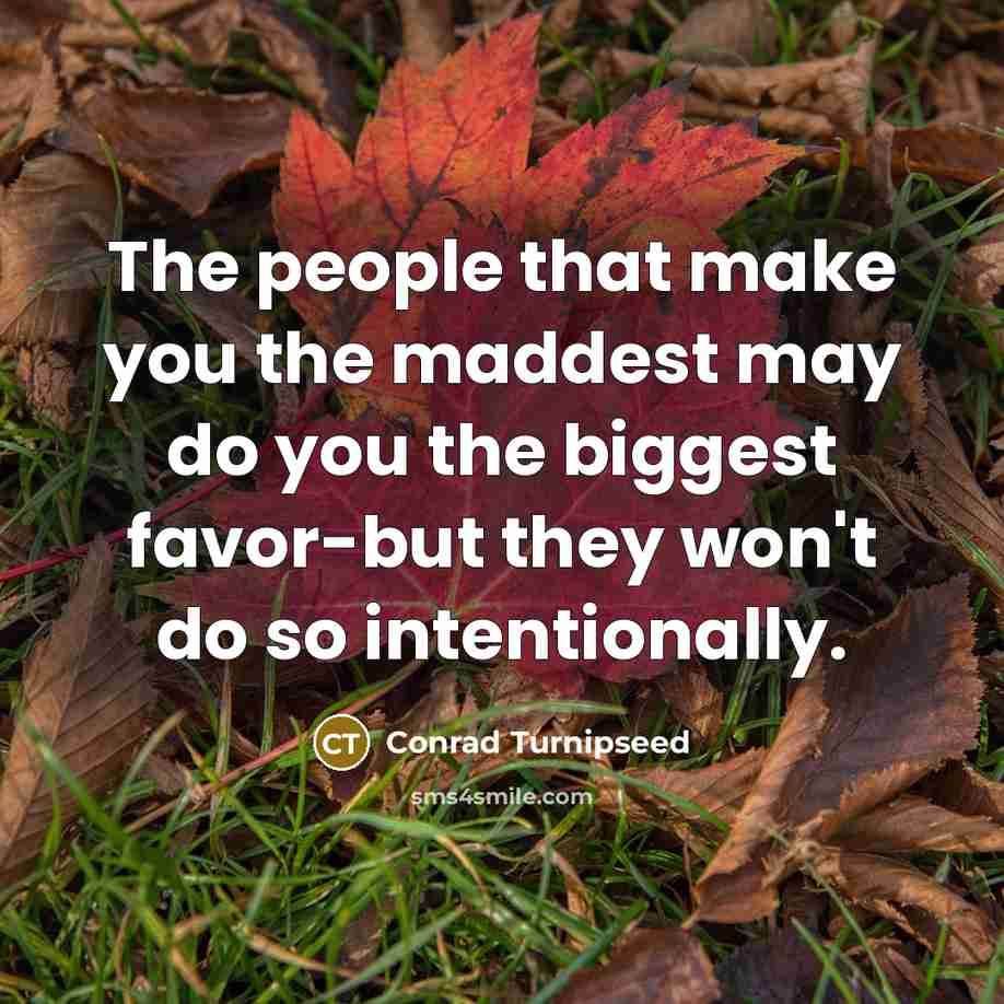 “The people that make you the maddest may do you the biggest favor-but they won't do so intentionally.” quote by Conrad Turnipseed