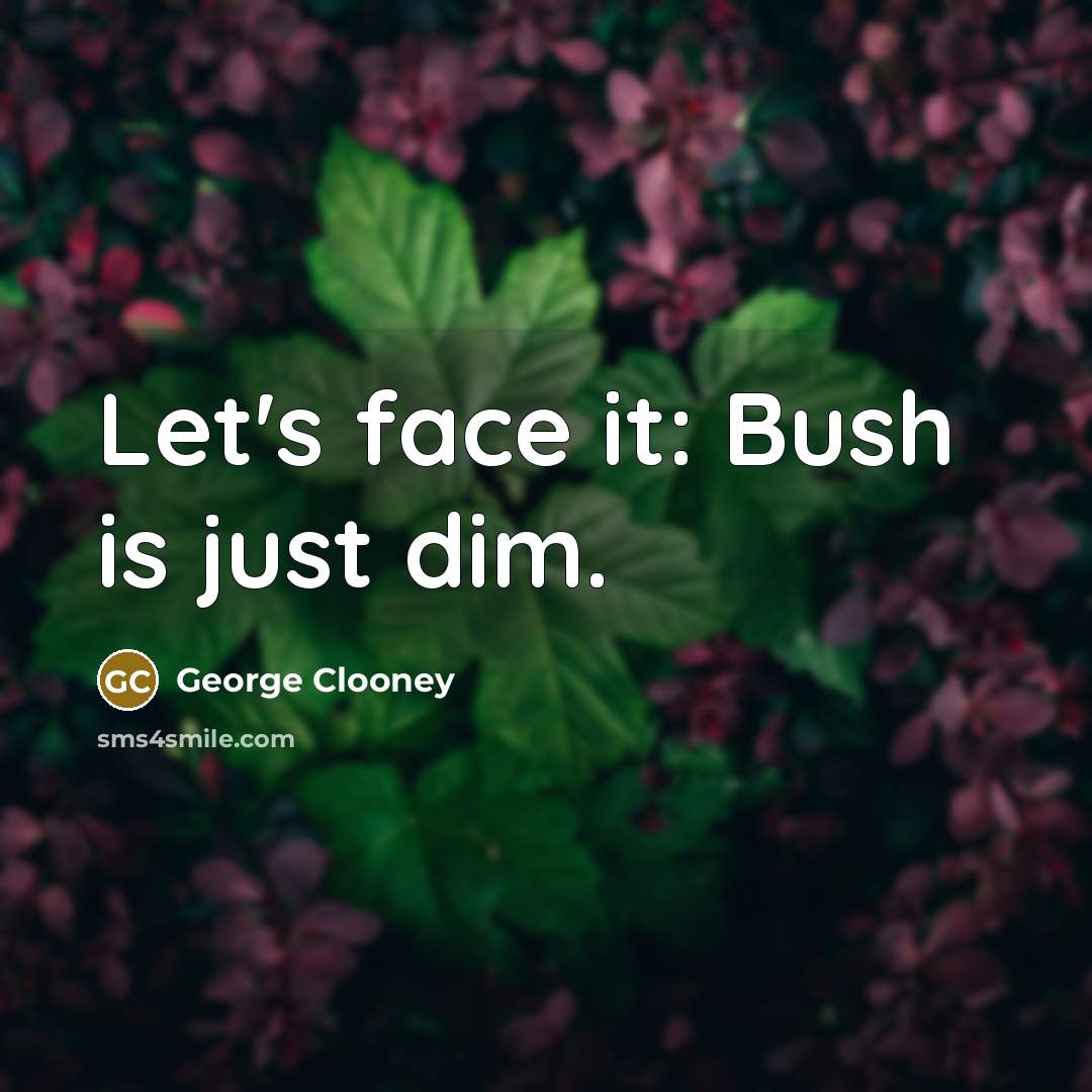 “Let's face it: Bush is just dim.…” quote by George Clooney
