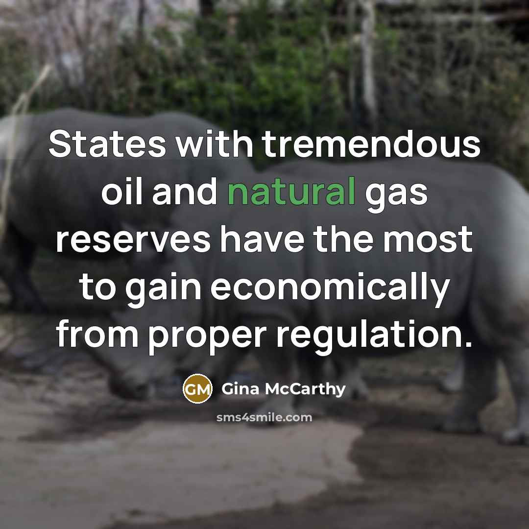 “States with tremendous oil and natural gas reserves have the…” quote by Gina McCarthy