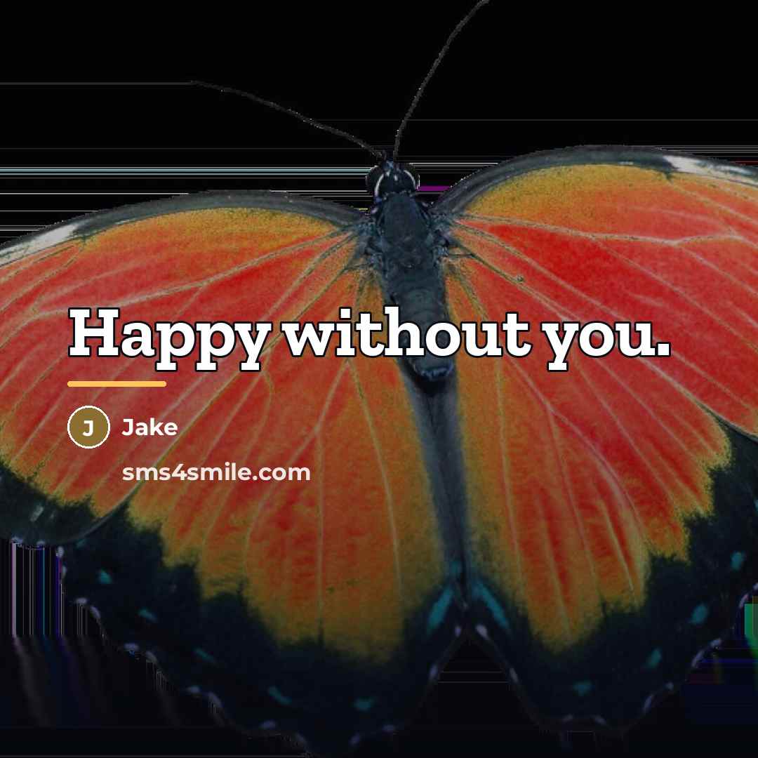 “Happy without you.…” quote by Jake