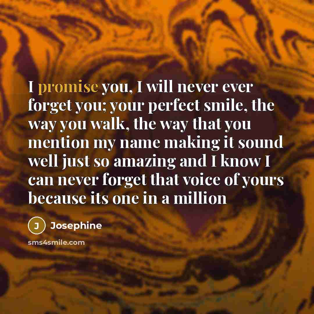 “I promise you, I will never ever forget you; your…” quote by Josephine