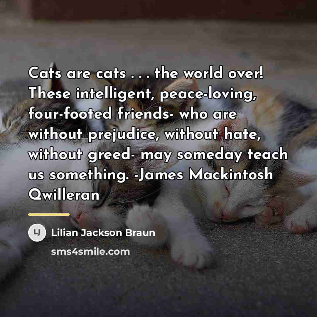 “Cats are cats . . . the world over! These…” quote by Lilian Jackson Braun