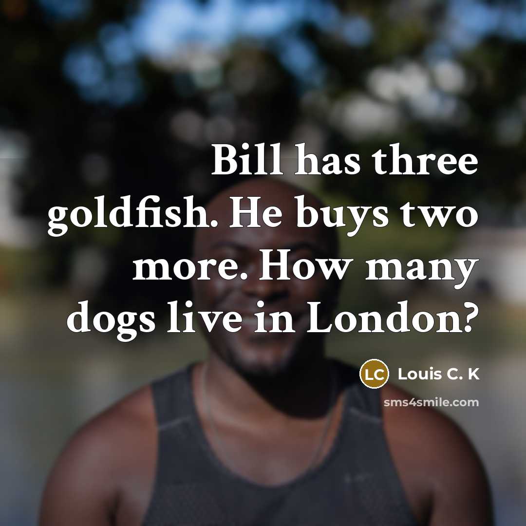 “Bill has three goldfish. He buys two more. How many…” quote by Louis C. K