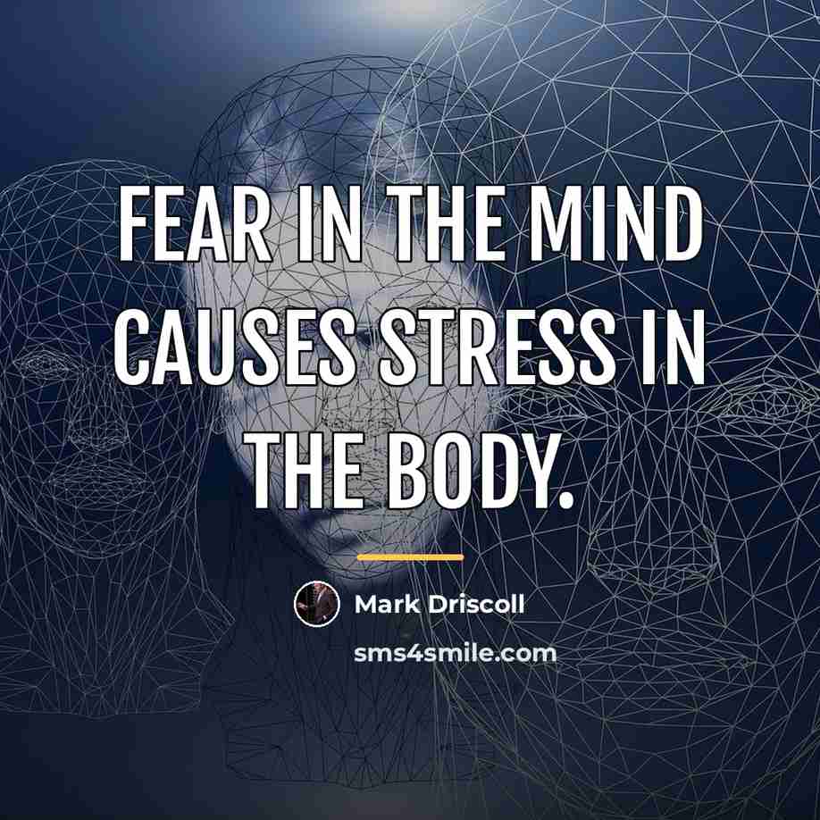 “Fear in the mind causes stress in the body.…” quote by Mark Driscoll