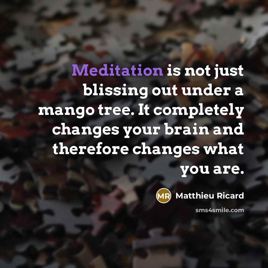 “Meditation is not just blissing out under a mango tree.…” quote by Matthieu Ricard