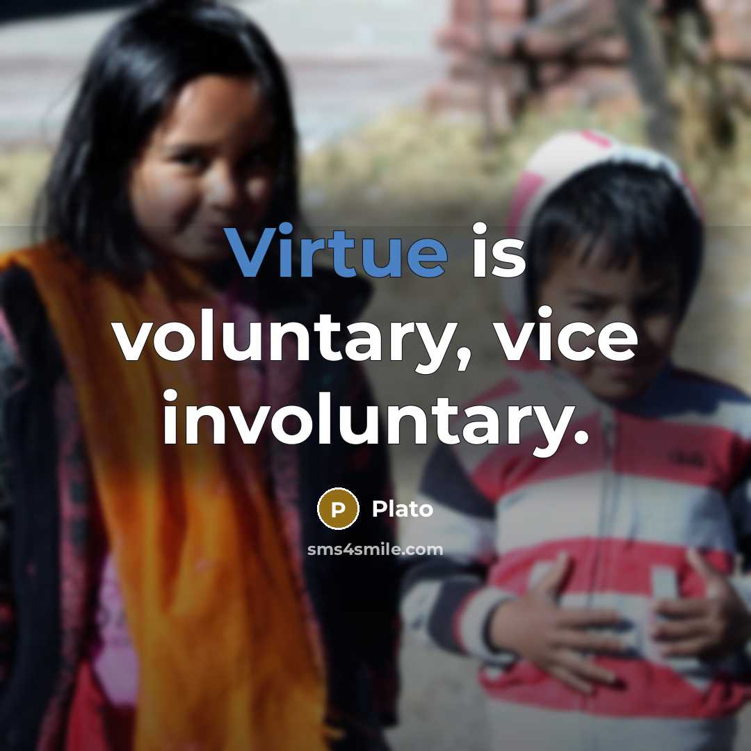 “Virtue is voluntary, vice involuntary.…” quote by Plato