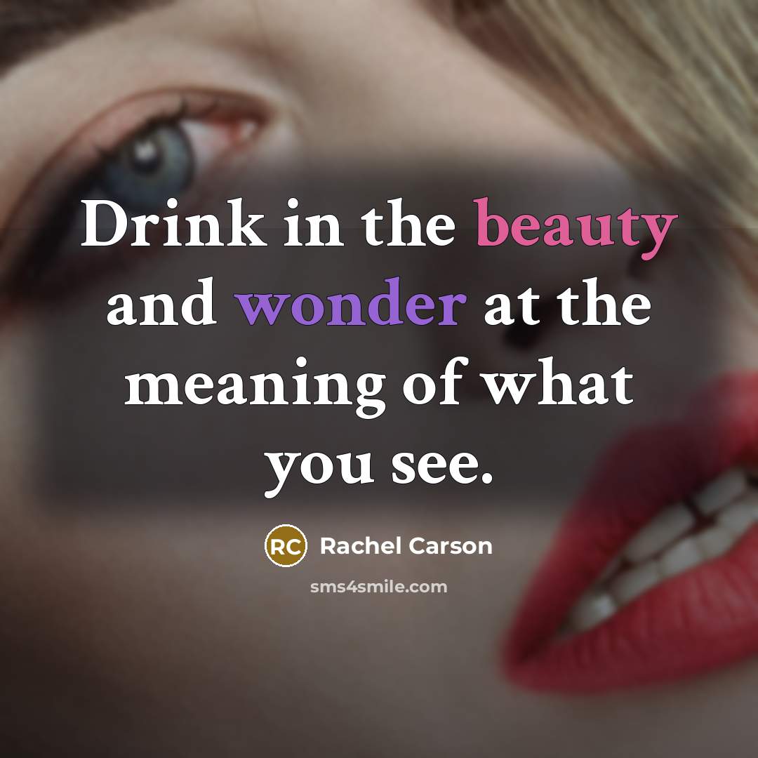 “Drink in the beauty and wonder at the meaning of…” quote by Rachel Carson