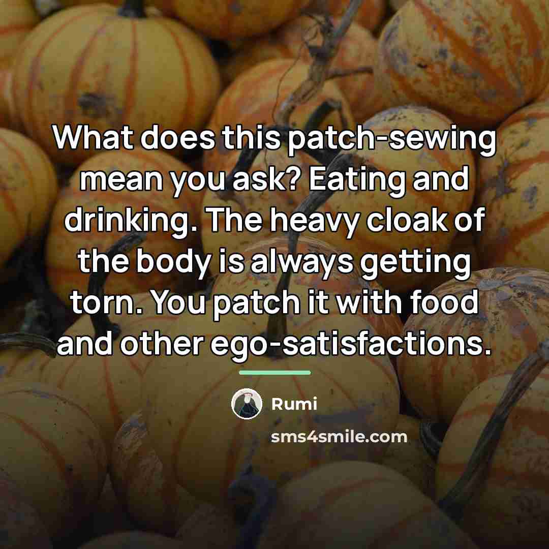 “What does this patch-sewing mean you ask? Eating and drinking.…” quote by Rumi
