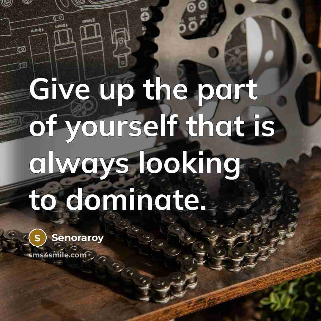 “Give up the part of yourself that is always looking…” quote by Senoraroy