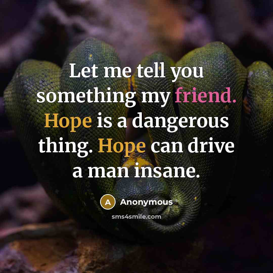 “Let me tell you something my friend. Hope is a…” quote by Anonymous