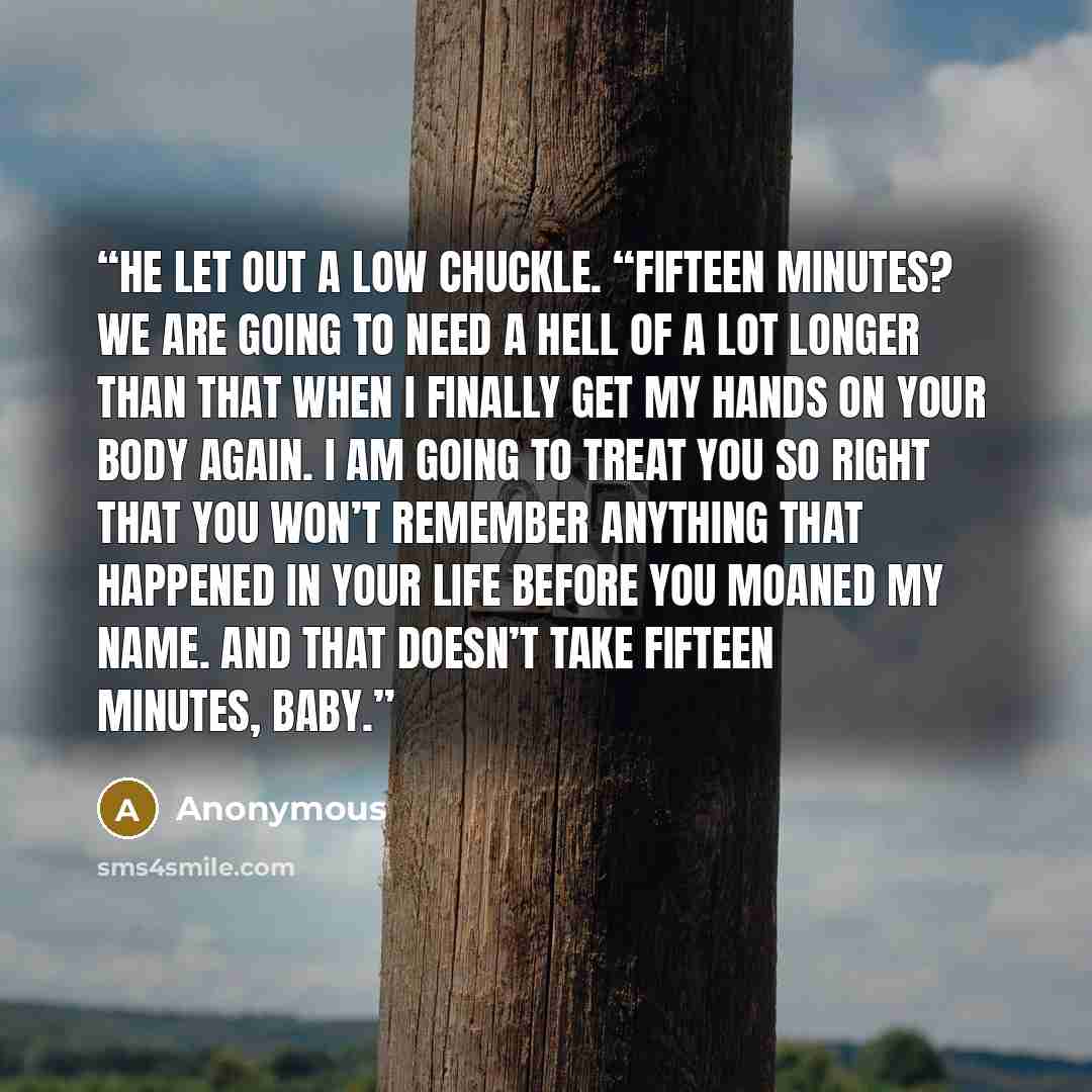 “He let out a low chuckle. “Fifteen minutes? We are going to need a hell of a lot longer than that when I finally get my hands on your body again. I am going to treat you so right that you won’t remember anything that happened in your life before you moaned my name. And that doesn’t take fifteen…” quote by Anonymous