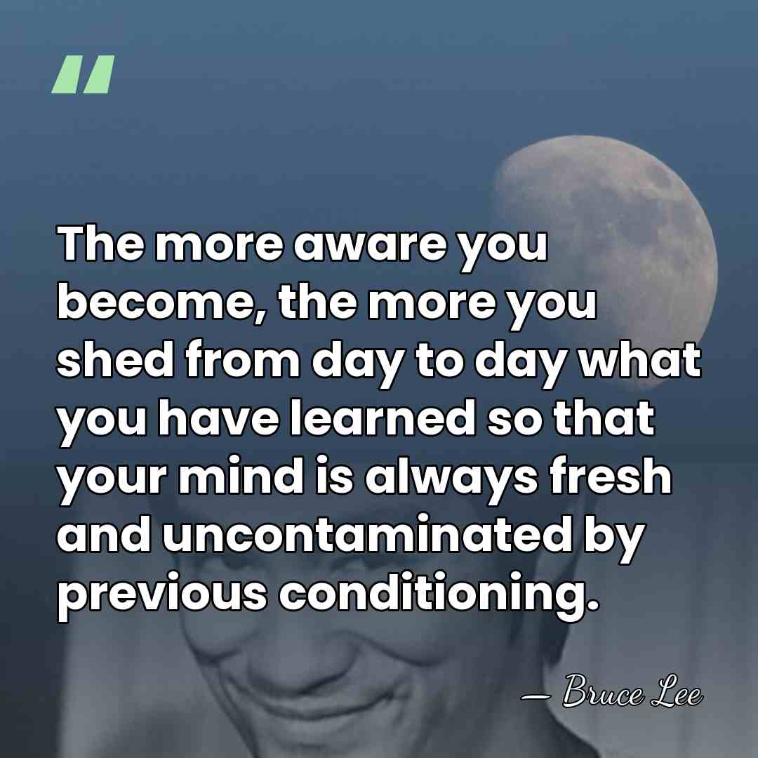The more aware you become, the more you shed from day to&hellip; - Bruce Lee