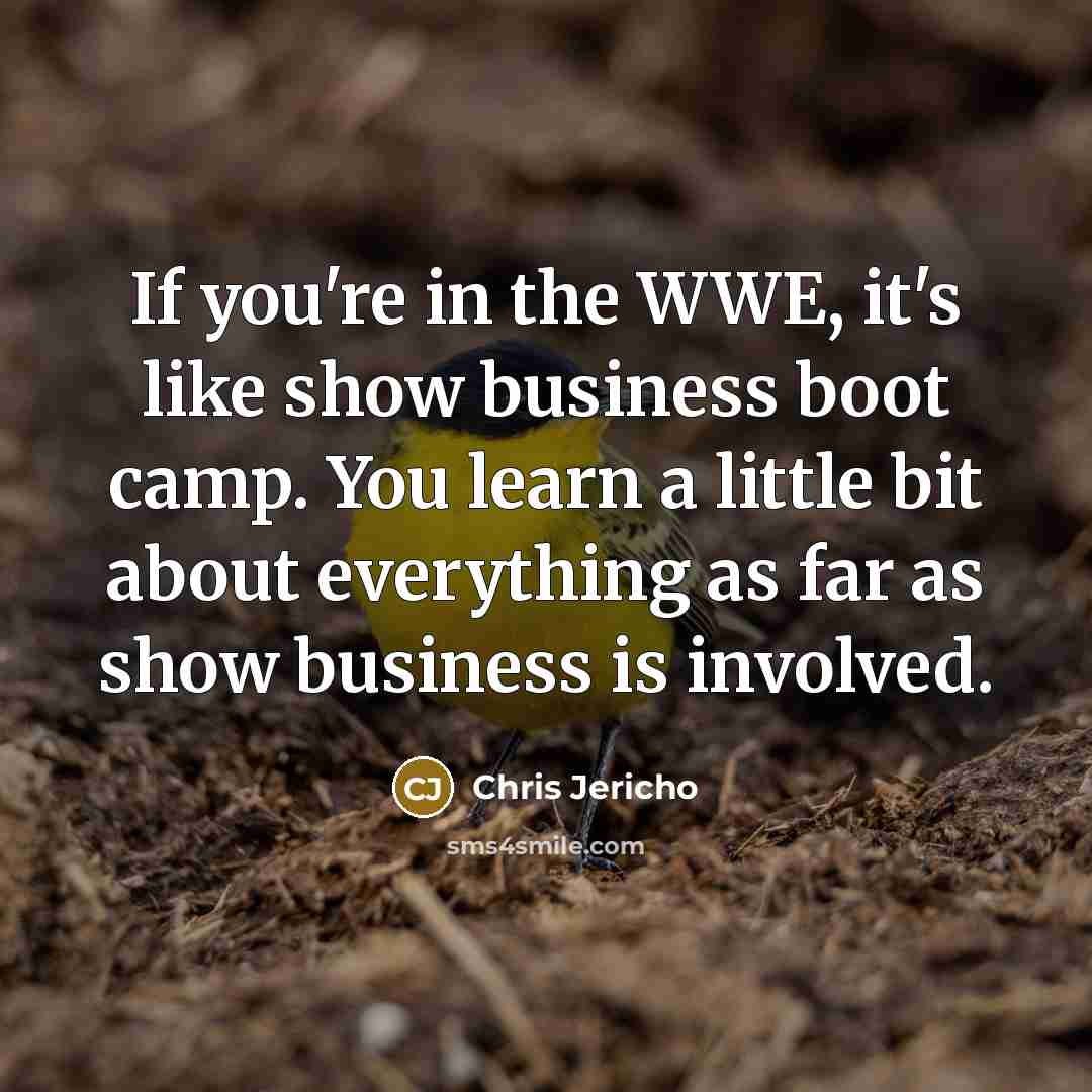 “If you're in the WWE, it's like show business boot…” quote by Chris Jericho