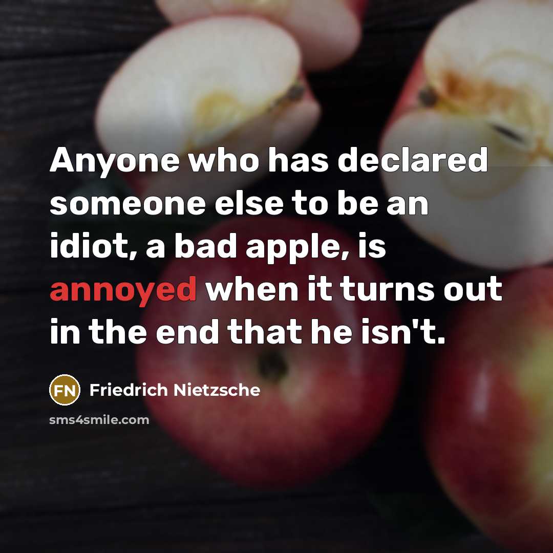 “Anyone who has declared someone else to be an idiot,…” quote by Friedrich Nietzsche