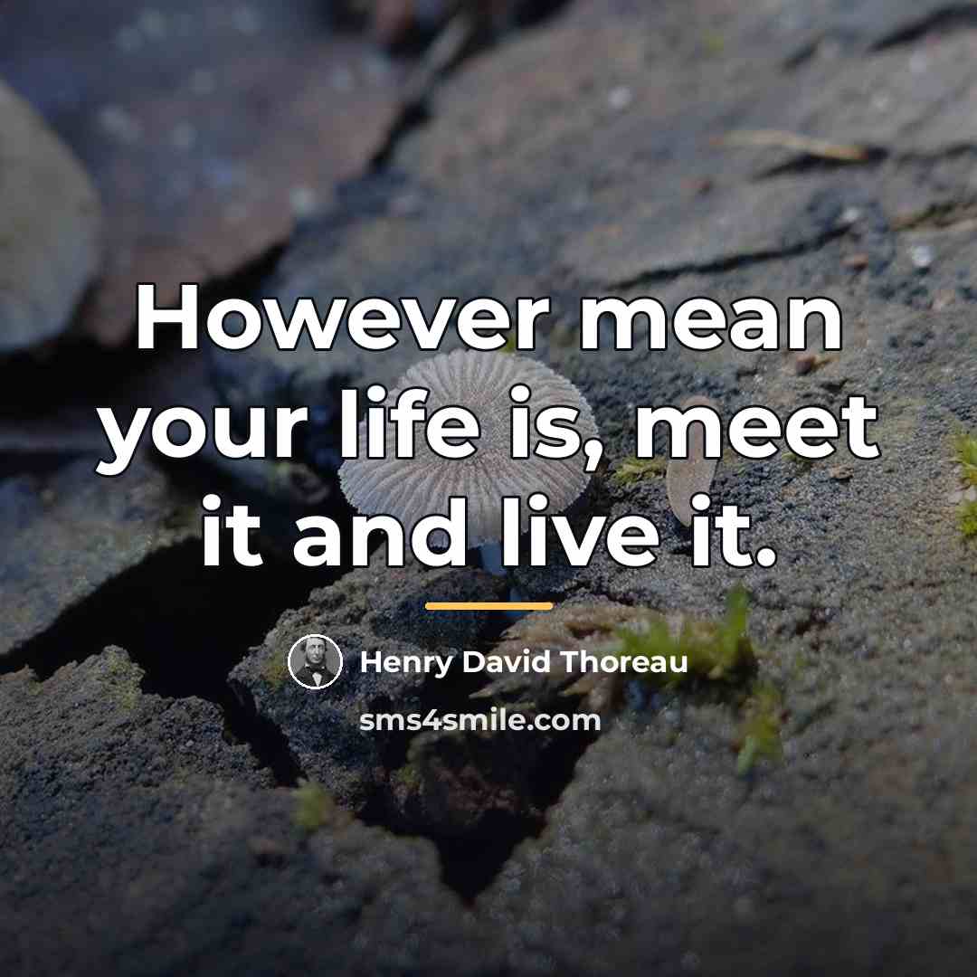 “However mean your life is, meet it and live it.…” quote by Henry David Thoreau