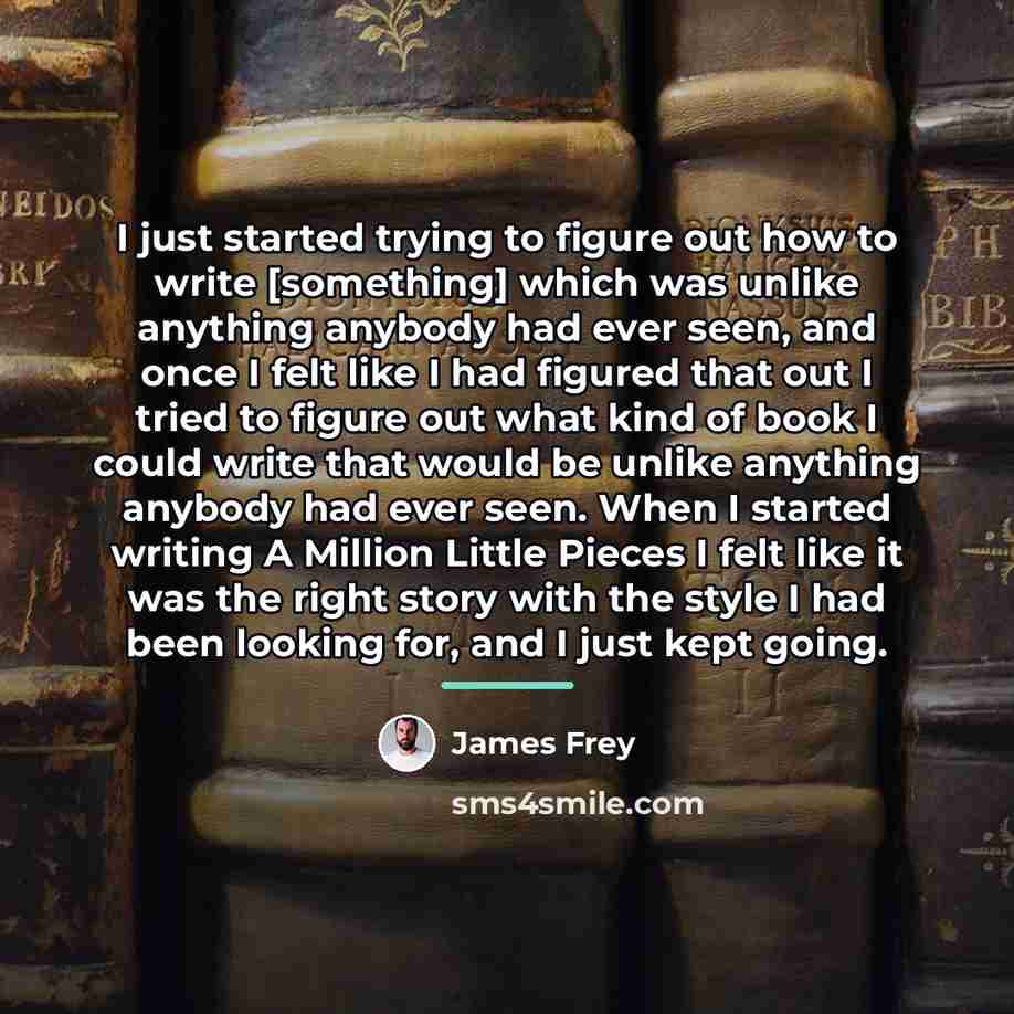 “I just started trying to figure out how to write…” quote by James Frey